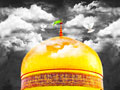 پرونده ویژه امام رضا(ع)